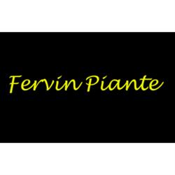 Fervin