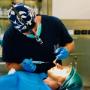 Gallery Professionale