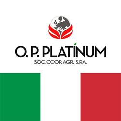 O.P. Platinum