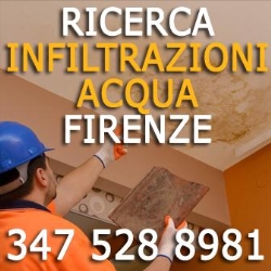 Ricerca infiltrazioni acqua Firenze