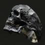 Anello "Crack" Skull