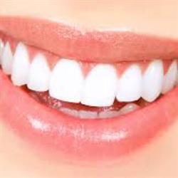 Laboratorio Odontotecnico Dental Project