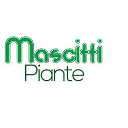 Mascitti Piante