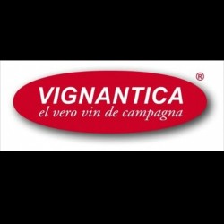 VIGNANTICA GROUP