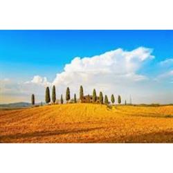 Immobiliare Il Gelso