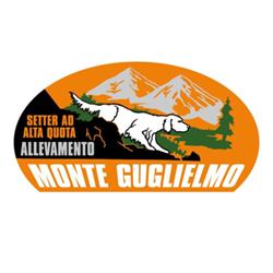 Allevamento Monteguglielmo
