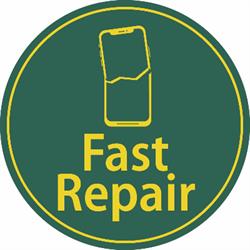 Fast Repair