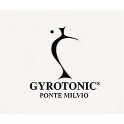 Gyrotonic ® Ponte Milvio