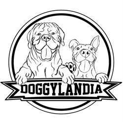 Doggylandia Asilo per cani-Centro cinofilo Val della Torre Torino