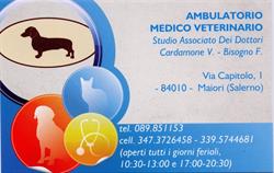 Ambulatorio Medico Veterinario Cardamone V. - Bisogno F.
