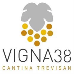 Vigna38 - Cantina Trevisan