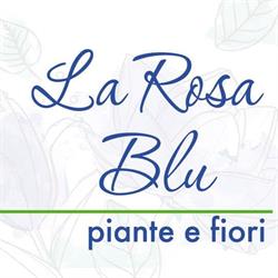 La Rosa Blu - Piante e Fiori
