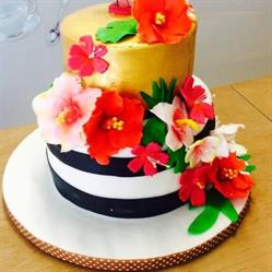 CAKE Designer Alice E LO Stregatto Cesena