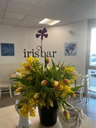 IRIS BAR