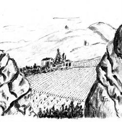 Società agricola Tramosasso di Foschi e c.