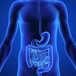 Dott.ssa Barbara Bindi Studio specialistico di gastroenterologia ed endoscopia digestiva