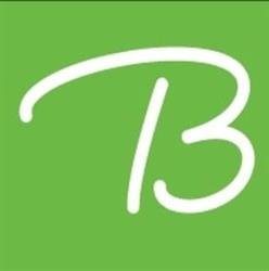 B-Evolution