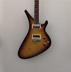 Dani Guitar Shop
