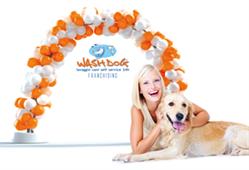 Wash Dog Torino