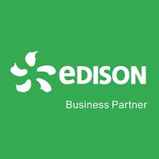 Punto Edison Business Partner