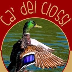 Ca' dei Ciossi