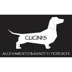 Allevamento Cucini's