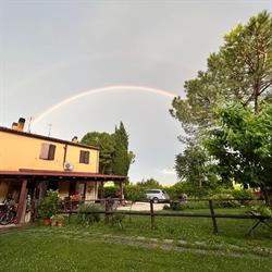 Il gelso nero