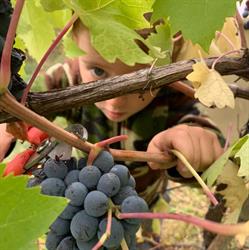 Società agricola Prato di sotto