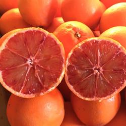 Sapori di sicilia