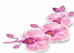 Iris Estetica SPA