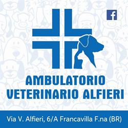 Ambulatorio Veterinario Alfieri