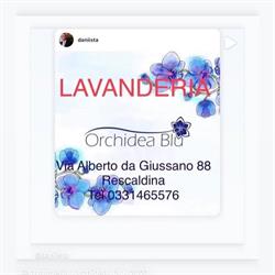 Lavanderia Orchidea Blu