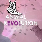 Articoli e Servizi per Cani e Gatti - Animal Revolution