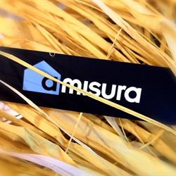 Amisura