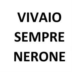 Vivaio Sempre Nerone