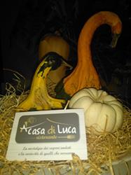 Ristorante A casa di Luca - Specialità Di Mare e Di Terra