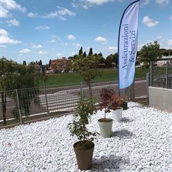 Assicurazioni E Servizi Di Luciano Sabatino