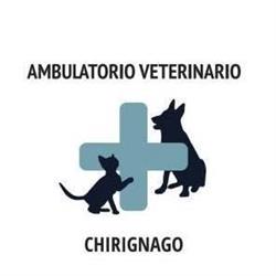 Ambulatorio Veterinario Chirignago