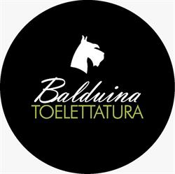 Balduina Toelettatura