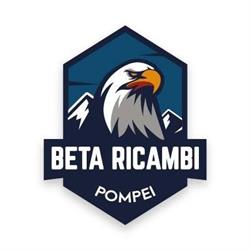 Beta Ricambi S.r.l.