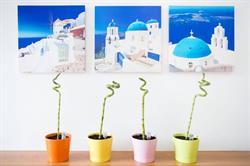 B&B Villino Elda