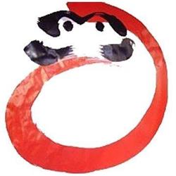 Aikido Daruma - Padova