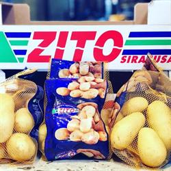Zito & Co. Srl