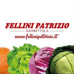 Fellini Patrizio SRL