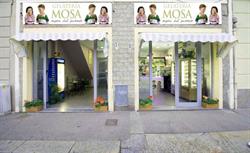 Mosa Gelateria