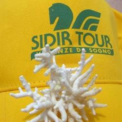 Agenzia Viaggi Sidirtour