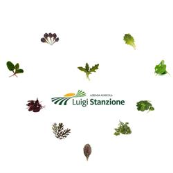 Azienda Agricola Luigi Stanzione
