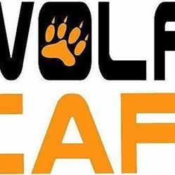 WOLF CAR