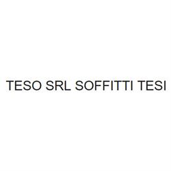 Teso Srl Soffitti Tesi