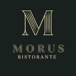 Morus Sapori & Sentori